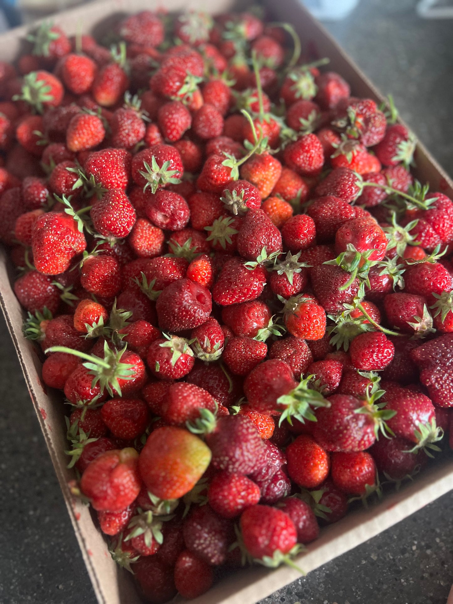 Organic Preserves Made from Northwest Fruits with a Touch of the Tropics