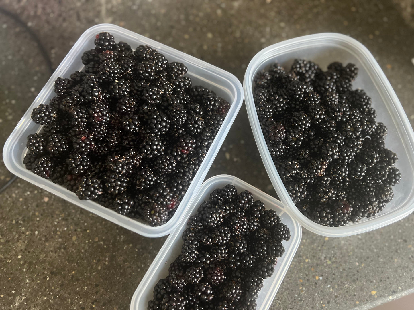 Organic Preserves Made from Northwest Fruits with a Touch of the Tropics