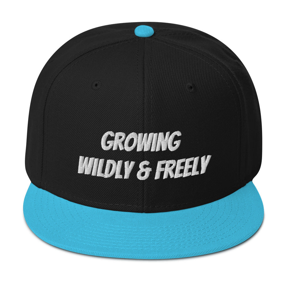 Snapback Hat