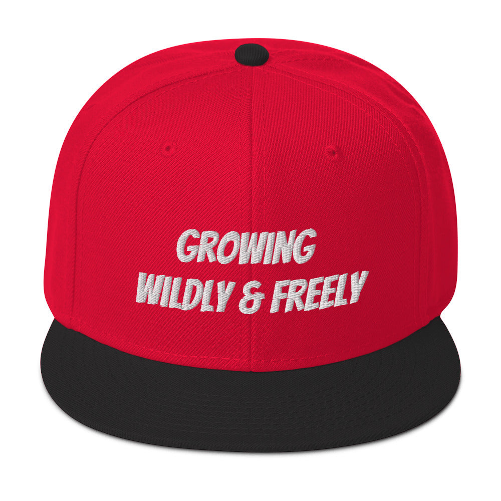 Snapback Hat